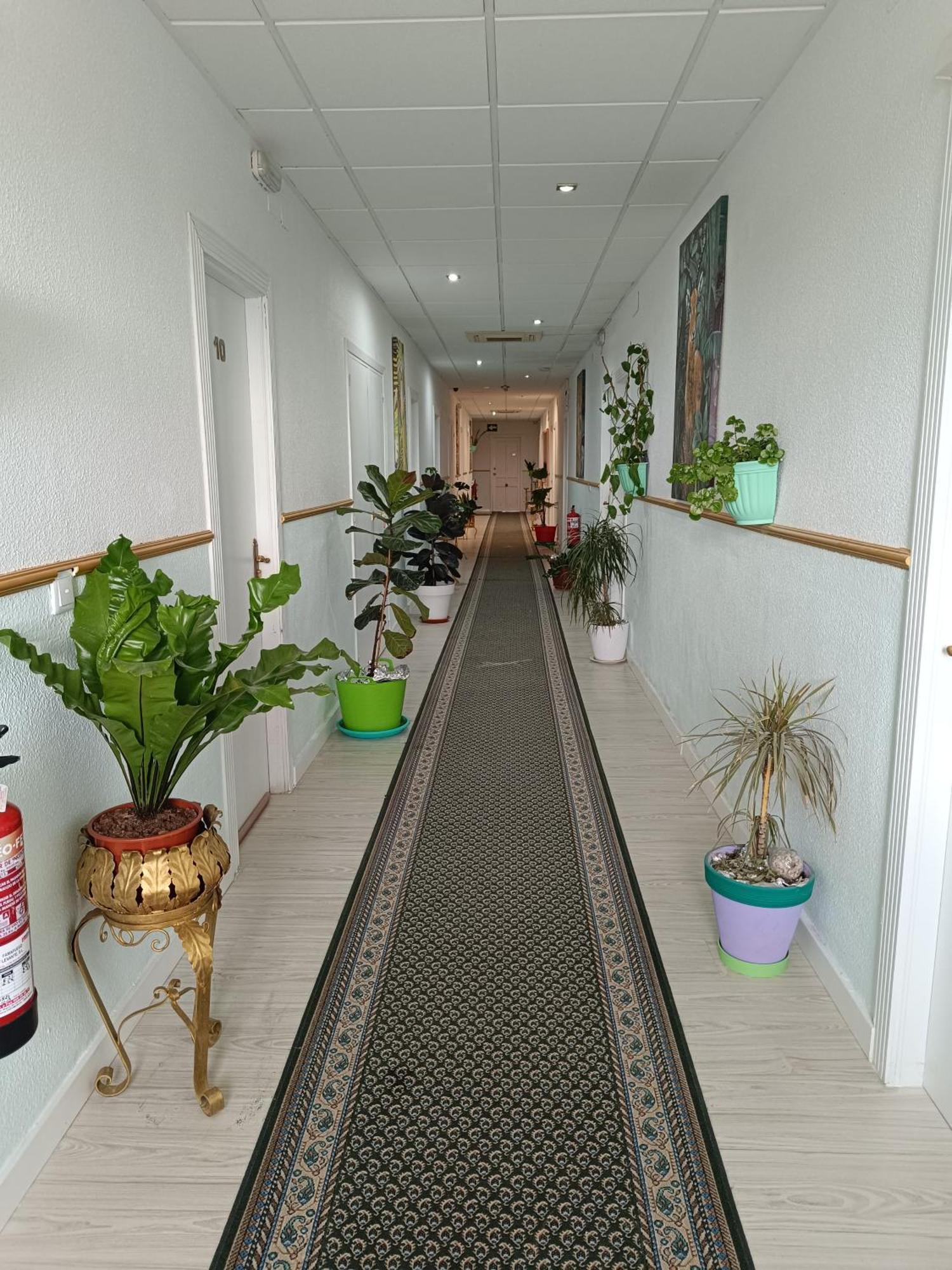 Hostal Fuente Del Pino 후미야 외부 사진